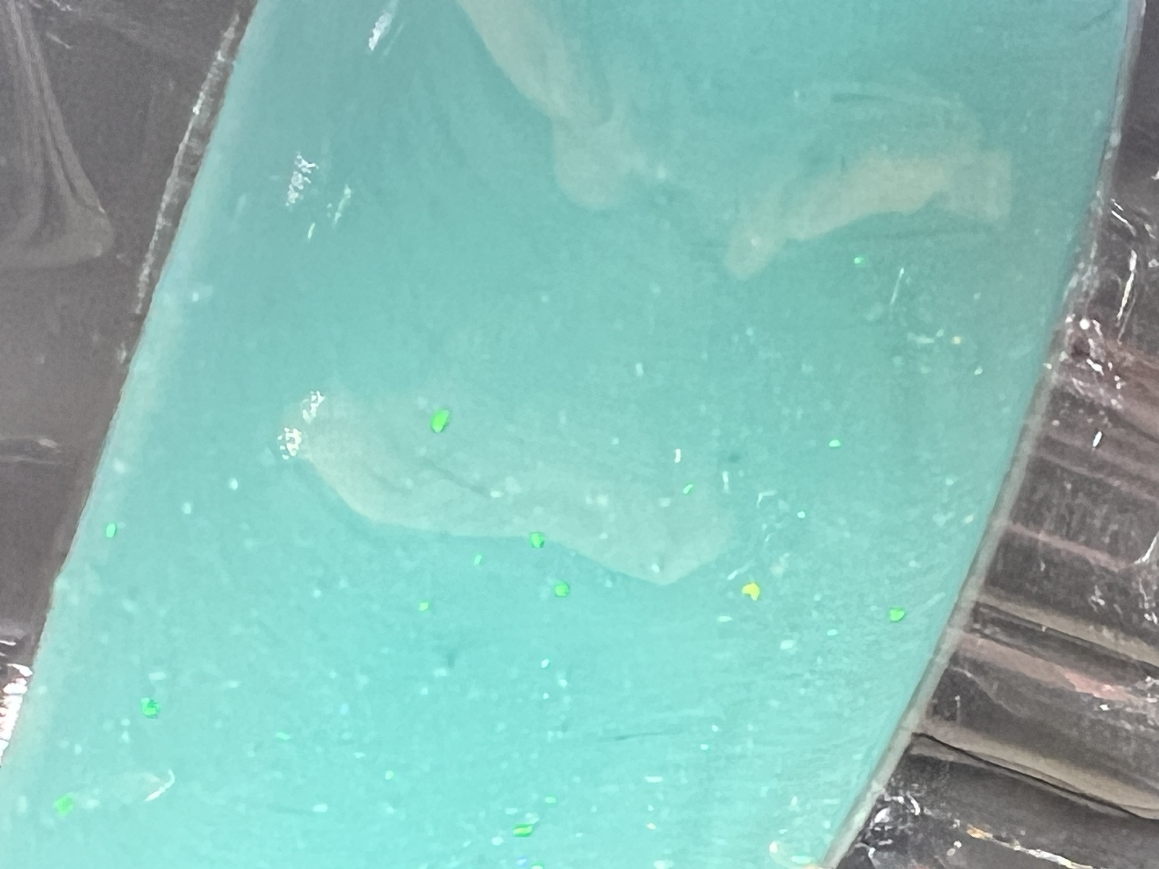 Multi-Colored Puffco Attachment