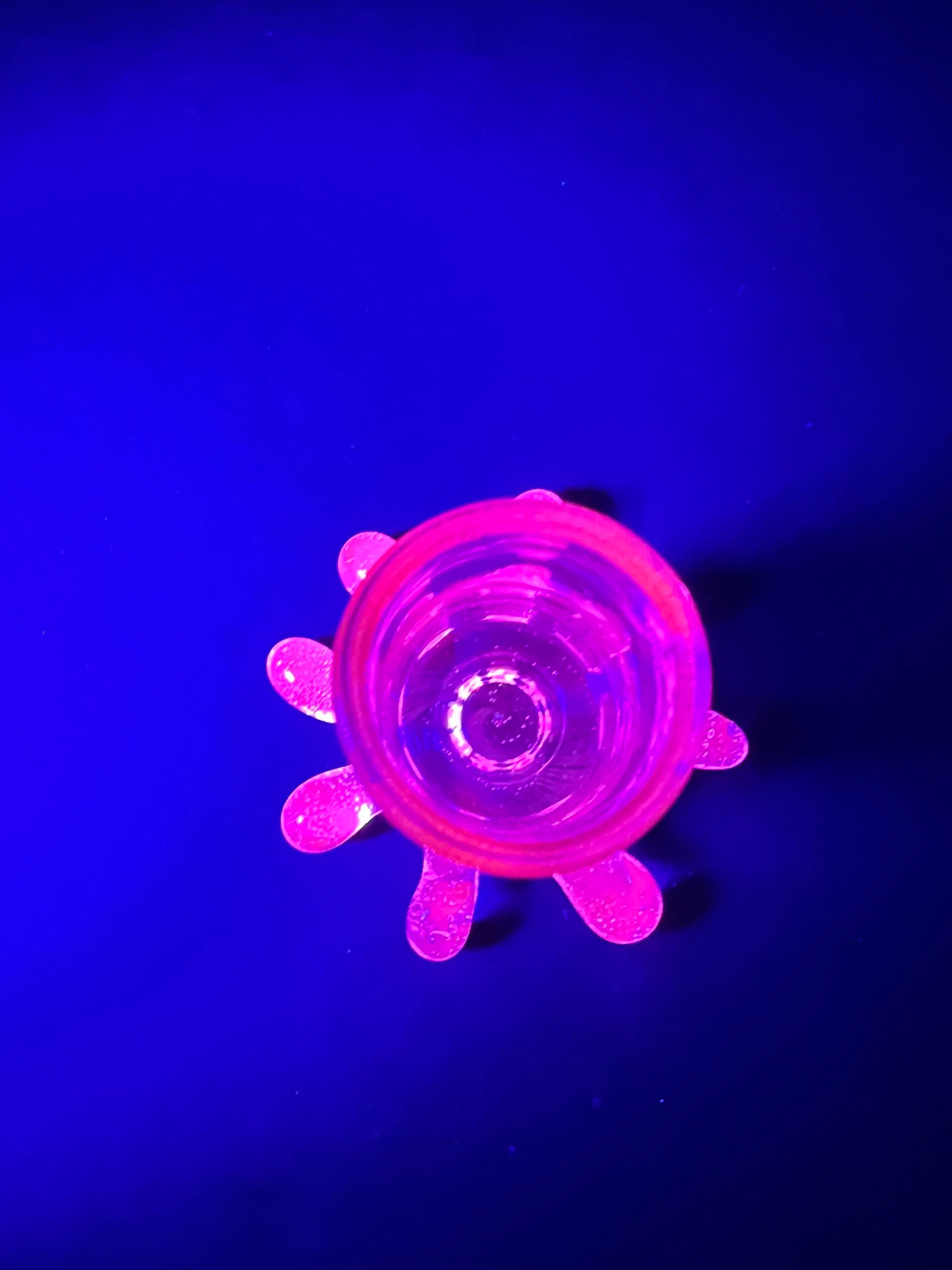 Bubble trap Lucy pivot holder